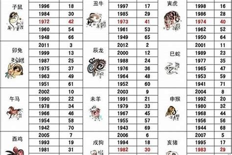 2006屬什麼|2006 年出生属什么生肖